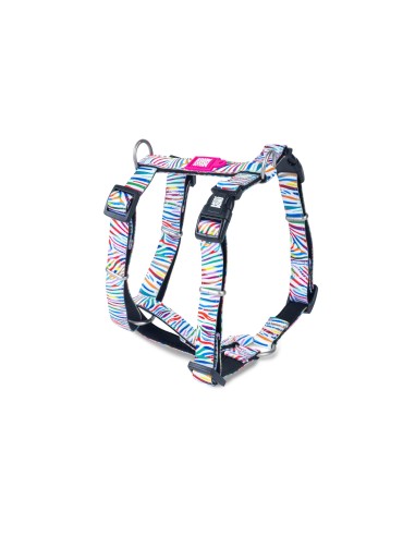 Magic Zebra - H-Harness