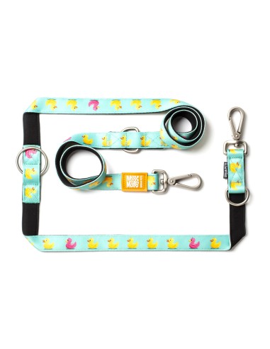 Multi-Function Leash - Ducklings